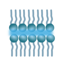 Zellmembrankomplex pH-suboptimal 